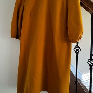 Ann Taylor Golden Yellow Coat